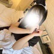 ヒメ日記 2025/10/19 11:11 投稿 えり【航空系強め】 STELLA TOKYO－ステラトウキョウ－