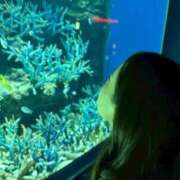 ヒメ日記 2025/11/13 17:56 投稿 さおり スピードエコ梅田店