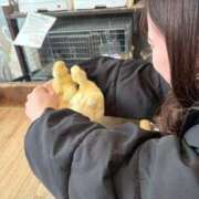 ヒメ日記 2026/03/13 18:26 投稿 さおり スピードエコ梅田店