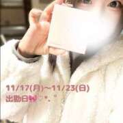 ヒメ日記 2025/11/11 12:12 投稿 はるか ちゃんこ藤沢茅ヶ崎店