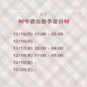 ヒメ日記 2025/12/15 17:42 投稿 はるか ちゃんこ藤沢茅ヶ崎店