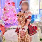 ヒメ日記 2025/11/24 09:17 投稿 優木 鶯谷人妻城