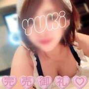 ヒメ日記 2025/11/27 23:14 投稿 優木 鶯谷人妻城