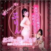 ヒメ日記 2025/11/16 02:17 投稿 ぷりん 土浦ハッピーマットパラダイス