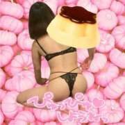 ヒメ日記 2025/11/26 17:37 投稿 ぷりん 土浦ハッピーマットパラダイス