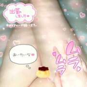 ヒメ日記 2025/12/07 09:47 投稿 ぷりん 土浦ハッピーマットパラダイス