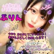 ヒメ日記 2025/12/31 20:07 投稿 ぷりん 土浦ハッピーマットパラダイス