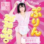 ヒメ日記 2026/04/27 16:37 投稿 ぷりん 土浦ハッピーマットパラダイス