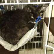 ヒメ日記 2025/11/10 12:11 投稿 もな 丸妻 池袋店