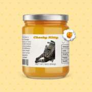 ヒメ日記 2025/11/13 10:30 投稿 もな 丸妻 池袋店