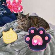 ヒメ日記 2025/11/14 13:56 投稿 もな 丸妻 池袋店