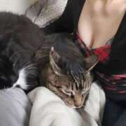 ヒメ日記 2025/11/27 23:27 投稿 もな 丸妻 池袋店