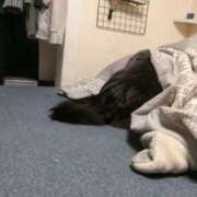 ヒメ日記 2025/12/05 09:17 投稿 もな 丸妻 池袋店