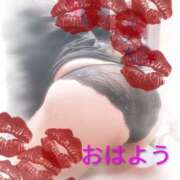 ヒメ日記 2025/12/11 11:25 投稿 もな 丸妻 池袋店