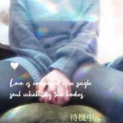 ヒメ日記 2026/01/13 16:59 投稿 もな 丸妻 池袋店