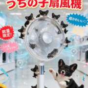 ヒメ日記 2026/07/31 09:17 投稿 もな 丸妻 池袋店