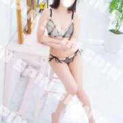 ヒメ日記 2026/02/22 04:05 投稿 すずね SPIN(スピン)