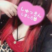 ヒメ日記 2025/11/08 13:45 投稿 るい 茨城神栖ちゃんこ