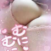 ヒメ日記 2025/11/11 12:02 投稿 るい 茨城神栖ちゃんこ