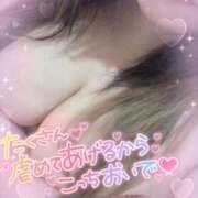 ヒメ日記 2025/11/22 09:30 投稿 るい 茨城神栖ちゃんこ