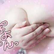 ヒメ日記 2025/11/24 08:02 投稿 るい 茨城神栖ちゃんこ