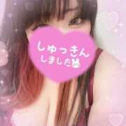 ヒメ日記 2025/11/24 14:02 投稿 るい 茨城神栖ちゃんこ