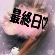 ヒメ日記 2025/11/25 14:01 投稿 るい 茨城神栖ちゃんこ