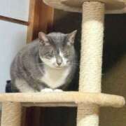 ヒメ日記 2025/11/27 18:34 投稿 るい 茨城神栖ちゃんこ