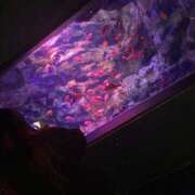 ヒメ日記 2025/11/29 16:50 投稿 るい 茨城神栖ちゃんこ