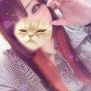 ヒメ日記 2026/03/01 14:01 投稿 るい 茨城神栖ちゃんこ