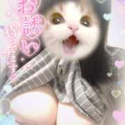 ヒメ日記 2026/03/03 12:02 投稿 るい 茨城神栖ちゃんこ