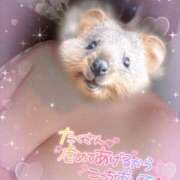 ヒメ日記 2026/03/07 12:02 投稿 るい 茨城神栖ちゃんこ