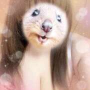 ヒメ日記 2026/03/08 12:02 投稿 るい 茨城神栖ちゃんこ