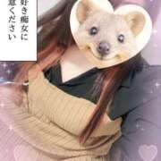 ヒメ日記 2026/03/08 14:11 投稿 るい 茨城神栖ちゃんこ