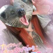 ヒメ日記 2026/03/09 14:01 投稿 るい 茨城神栖ちゃんこ