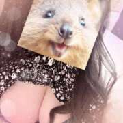 ヒメ日記 2026/03/11 12:03 投稿 るい 茨城神栖ちゃんこ