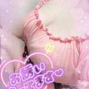 ヒメ日記 2026/03/12 12:02 投稿 るい 茨城神栖ちゃんこ