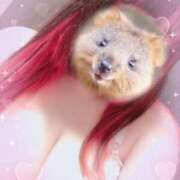 ヒメ日記 2026/03/13 12:03 投稿 るい 茨城神栖ちゃんこ