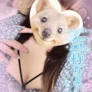 ヒメ日記 2026/03/13 14:26 投稿 るい 茨城神栖ちゃんこ