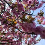 ヒメ日記 2026/04/28 17:02 投稿 るい 茨城神栖ちゃんこ