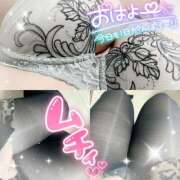 ヒメ日記 2025/11/13 10:24 投稿 池野友菜 五十路マダム愛されたい熟女たち 津山店