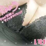 ヒメ日記 2025/11/14 10:10 投稿 池野友菜 五十路マダム愛されたい熟女たち 津山店