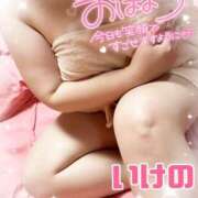 ヒメ日記 2025/11/21 10:52 投稿 池野友菜 五十路マダム愛されたい熟女たち 津山店