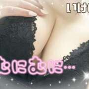 ヒメ日記 2025/12/17 10:46 投稿 池野友菜 五十路マダム愛されたい熟女たち 津山店