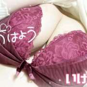 ヒメ日記 2026/01/11 09:56 投稿 池野友菜 五十路マダム愛されたい熟女たち 津山店