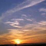 ヒメ日記 2026/02/01 23:53 投稿 じゅんな 三重松阪ちゃんこ