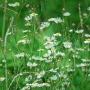 ヒメ日記 2026/02/03 00:15 投稿 じゅんな 三重松阪ちゃんこ