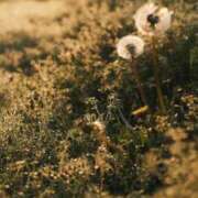 ヒメ日記 2026/04/21 17:03 投稿 じゅんな 三重松阪ちゃんこ