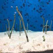 ヒメ日記 2025/10/17 23:18 投稿 北川みな お姉さんCLUB