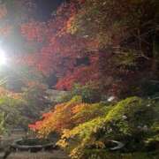 ヒメ日記 2025/11/22 14:48 投稿 北川みな お姉さんCLUB